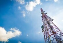 callback frequency analysis trends
