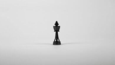 fraud monitoring and oversight