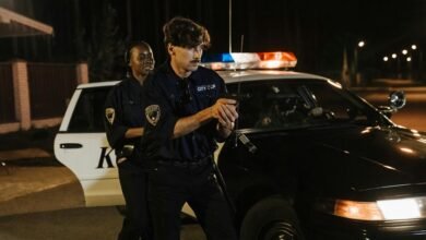 fraud surveillance response council