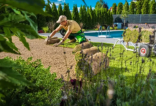 ​​Thriving in the Top End: A Homeowner’s Guide to Lush, Low-Maintenance Landscaping