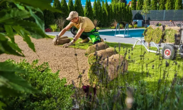 ​​Thriving in the Top End: A Homeowner’s Guide to Lush, Low-Maintenance Landscaping